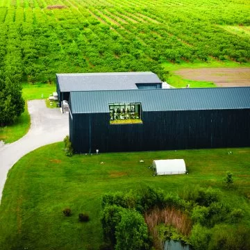 Pearl Morissette Vineyard Farm
