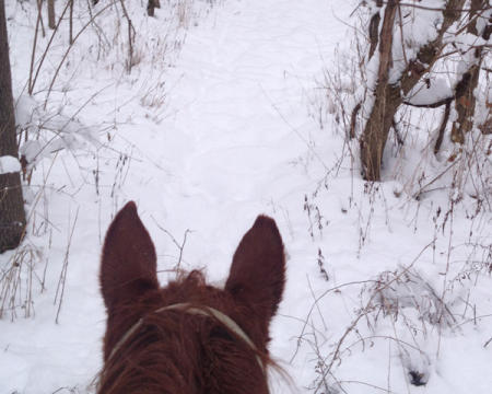 Winter horseback ride at Natural Valley Ranch