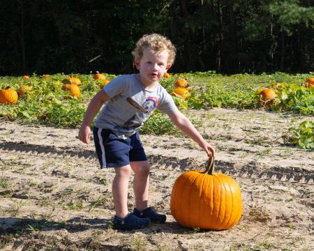 Smith's Farm Pumpkin Picking in Benson, NC.