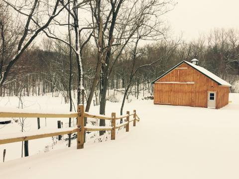 Maple season at Kettleridge Farm in Rochester, NY