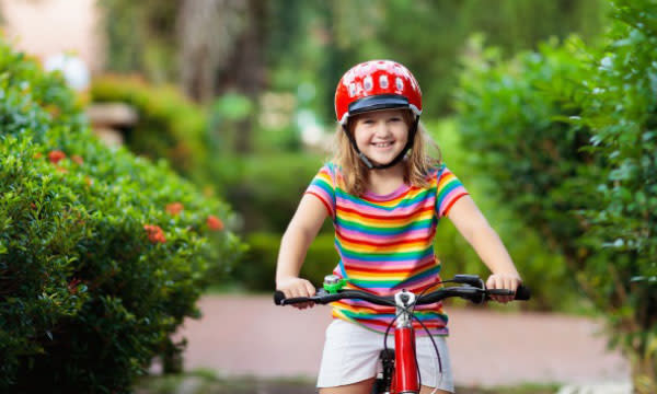 Bike Brigade