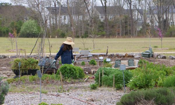 Reeds Farm - Farming