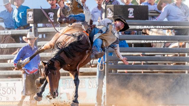 Rodeo