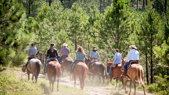 Horse-Horseback-Riding