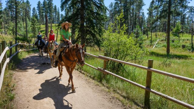 Horse-Horseback-Riding