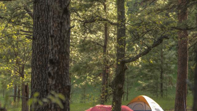 Tent-Camping-Forest