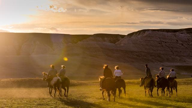 Horse-Horseback-Riding