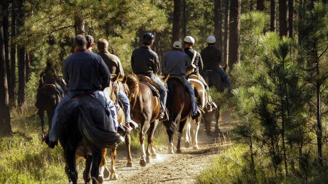 Michelson-Trail-Horseback-Riding