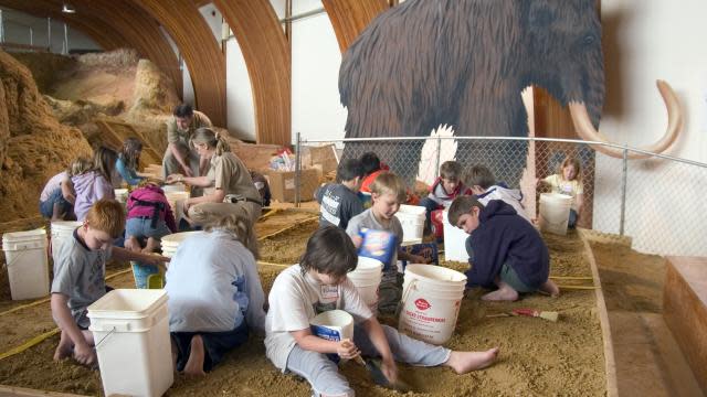 Mammoth site