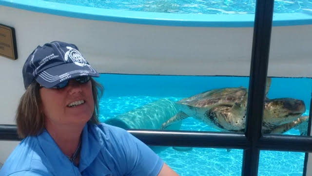 Loggerhead Marinelife Center Juno Beach