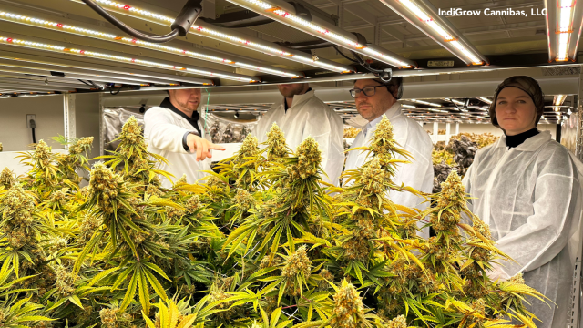 IndiGrow