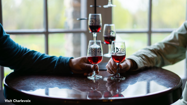 The Ultimate West Michigan Stay-Cation (Spring Break)