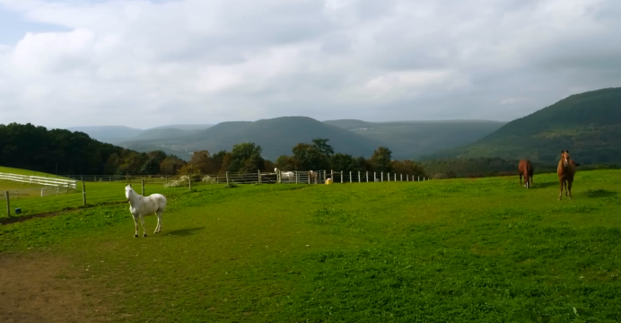 Elysian-Fields-Mountain-Pastures