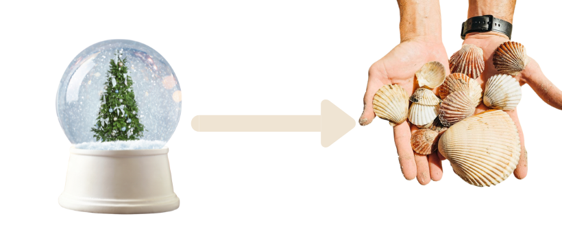 Snow Globe image with an arrow to Seashells.
