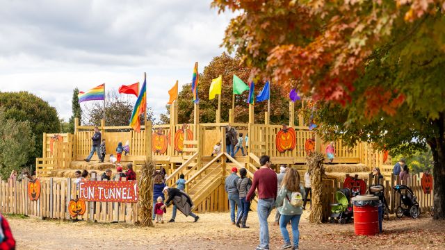 Cox Farms Fall Festival in Centreville