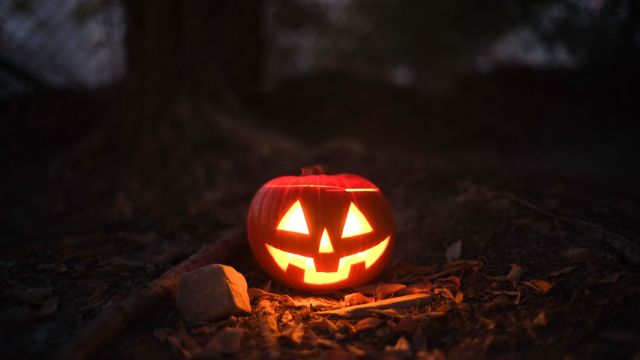 Creepy Critters Campfire at Walker Nature Center in Reston