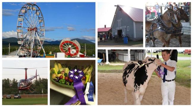 Lancaster Fair Promo Image - Collage of Ferris Wheel, Cow, Horses