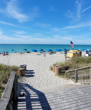 Shade Umbrellas on Englewood Beach