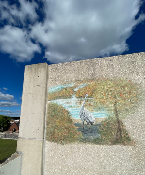 Sandhill Hidden Mural 2