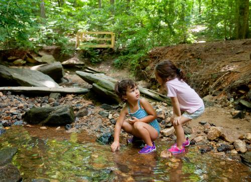 Dunwoody Nature Center Creek