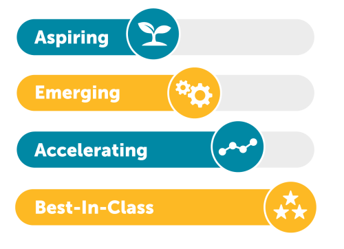 Digital Maturity Levels 2