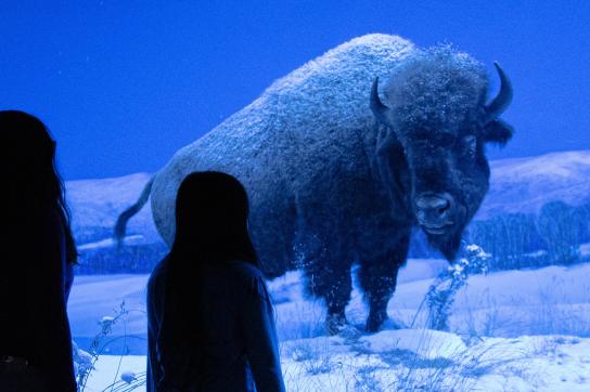 12 Kid Approved Winter Activities