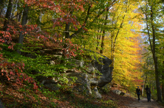 Gunpowder Falls State Park