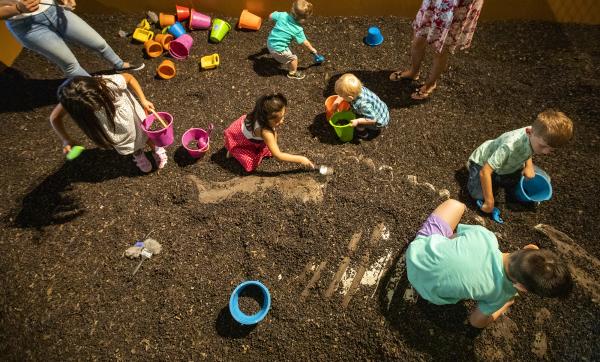 The Dig Pit at Houston Museum of Natural Science in Sugar Land