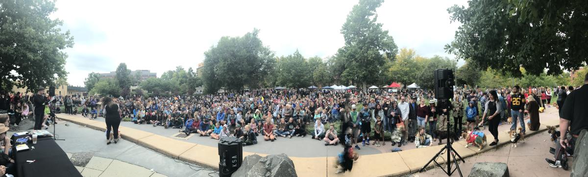 Pano of Tour De Corgi