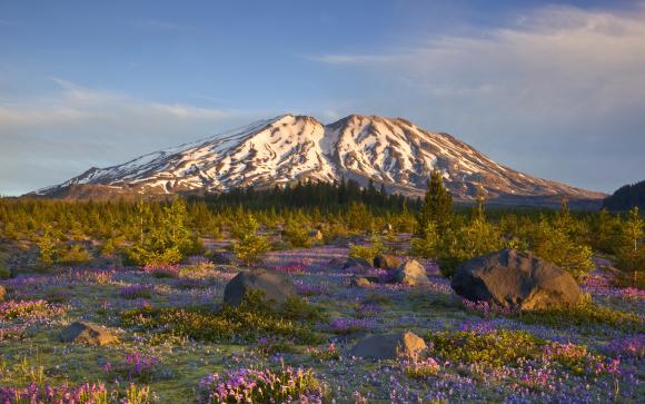 Outdoor Recreation In Vancouver Wa Parks Trails Fishing Mount St Helens