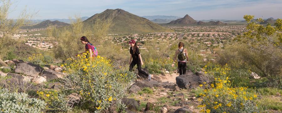 Thunderbird Conservation Park