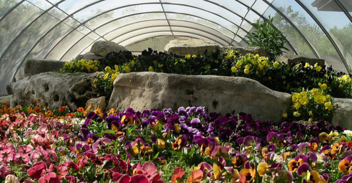 Botanica Wichita Butterfly House