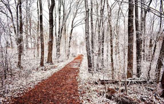 A clear hiking path through the otherwise snow-covered Leonard Springs Nature Park