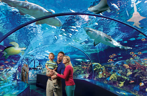 Family in Aquarium Tunnel