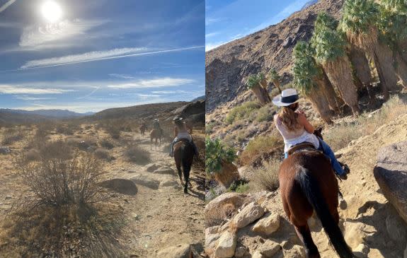 Smoke Tree Stables
