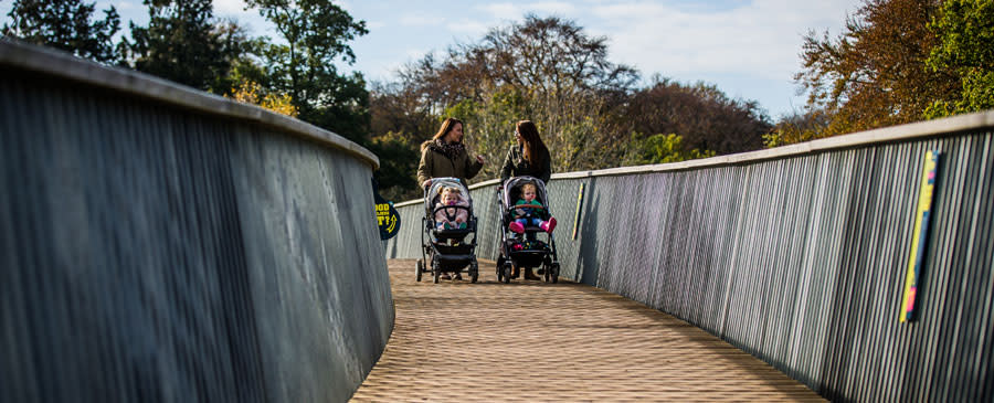 The STIHL Treetop Walkway at Westonbirt