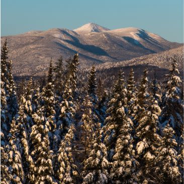 Snow-capped mountains with snow-draped pine trees in front