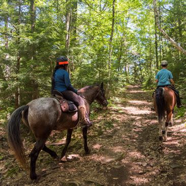 Horseback Riding in Lake George