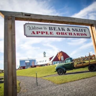 Beak & Skiff Apple Orchard