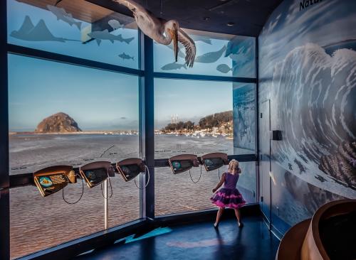Morro bay Museum