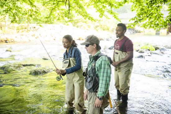 Guide to Fly Fishing the NC High Country