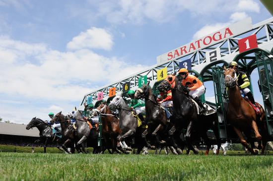 horses racing on