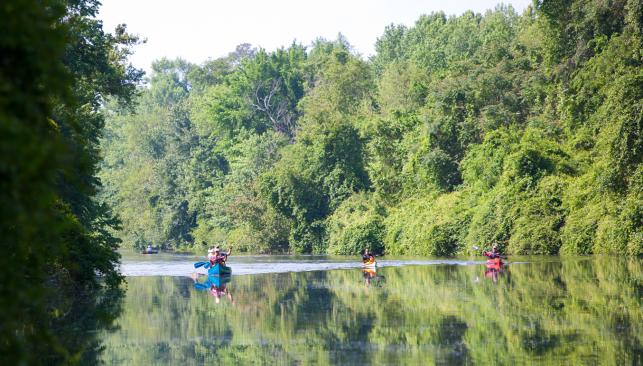 Dismal Swamp Canal