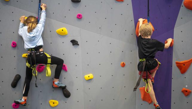 Rock Climbing at Dick's House of Sport