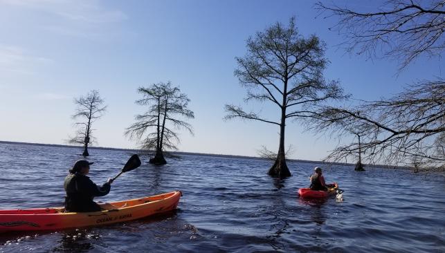 Kayaking on Lake Drummond, Great Dismal Swamp National Wildlife Refuge