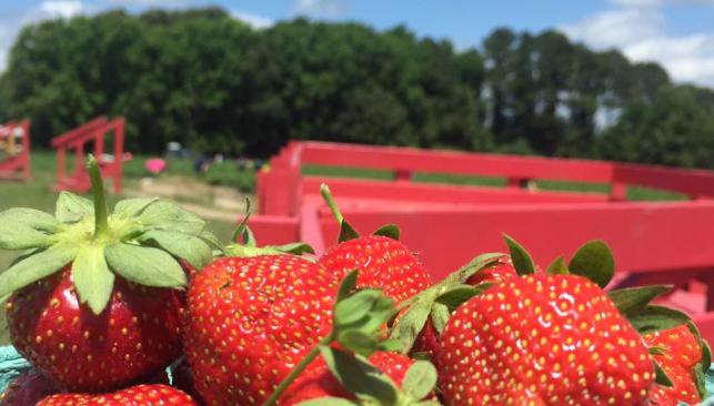 Hickory Ridge Farm