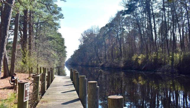 Dismal Swamp Canal