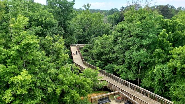 Rooftop view of Riverwalk in Hillsborough