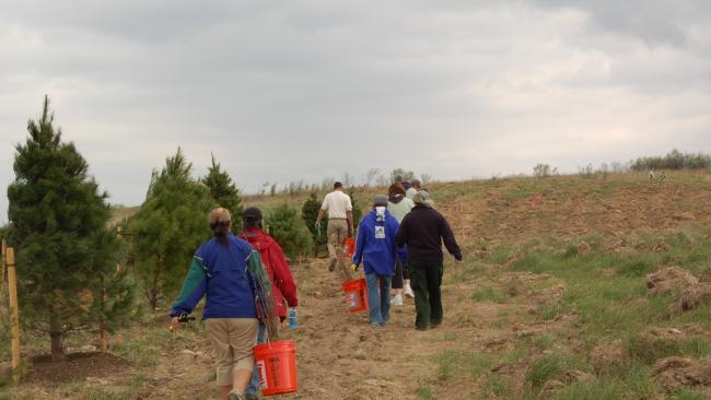 Plant a Tree at Flight 93