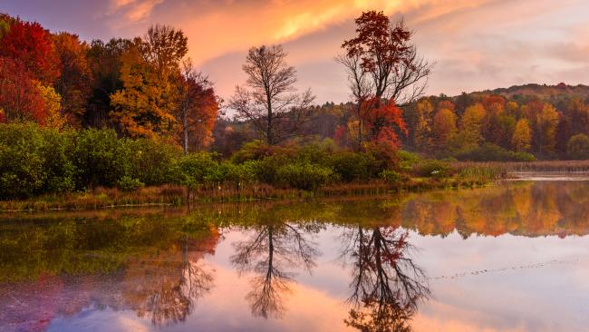 Keystone State Park Fall Folliage